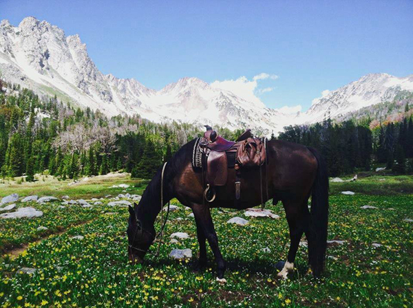 lone mountain ranch riding bear basin